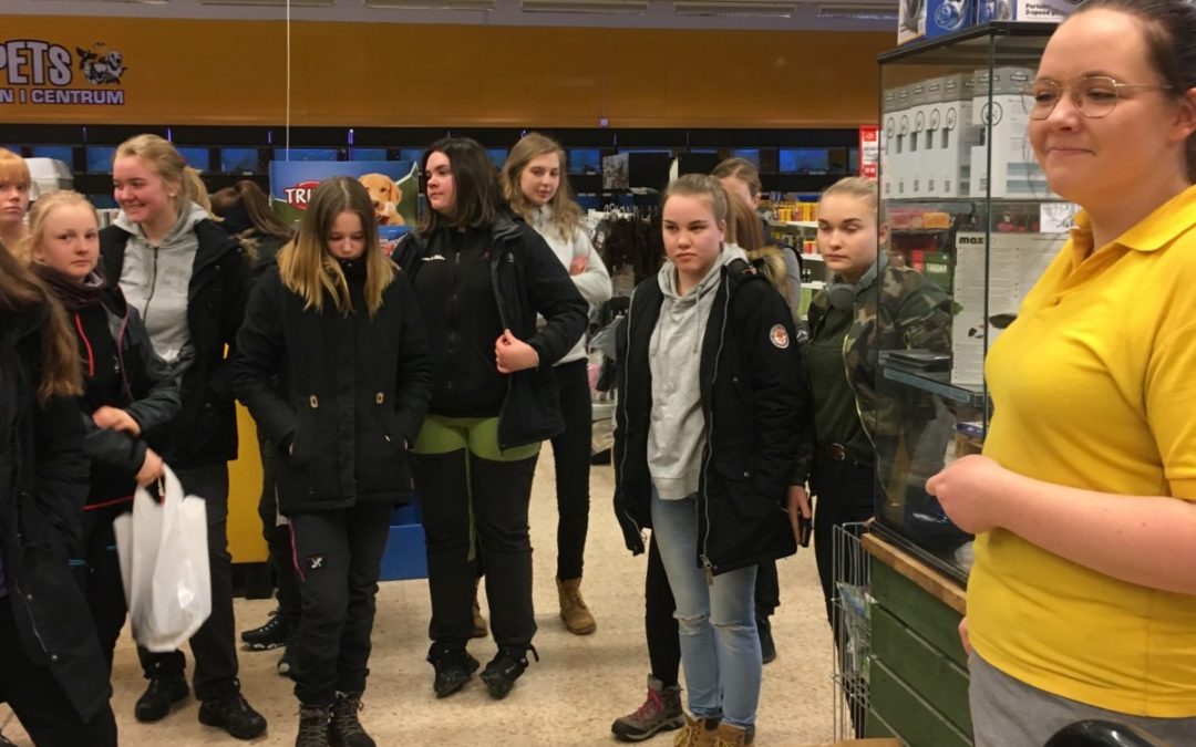 Maxad APL-vecka för hundsportseleverna!