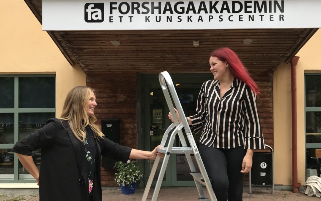 ”Karriärstegen”