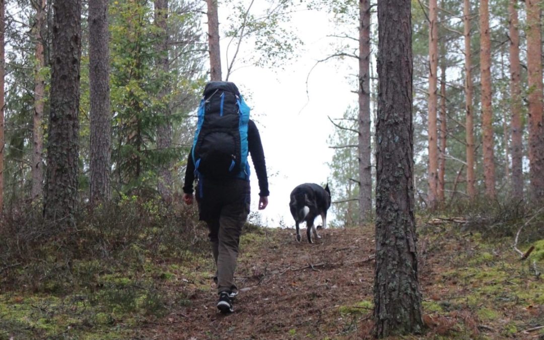 Hundsportare på ”fritids-vandring”