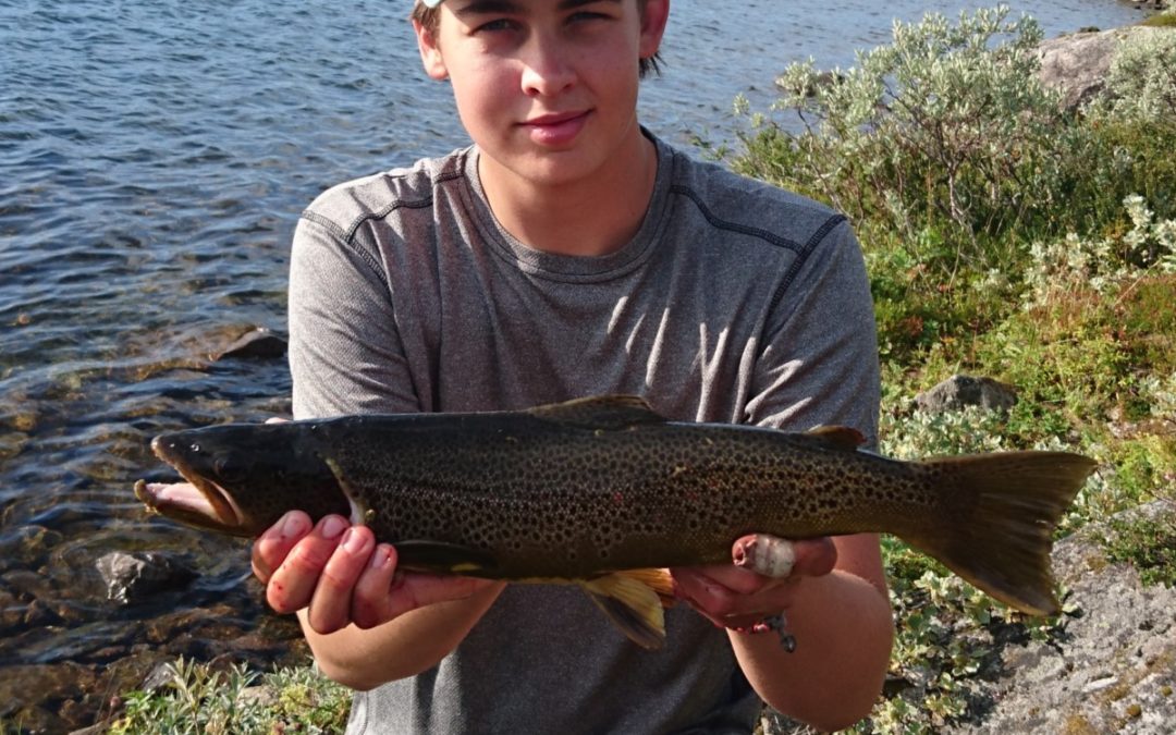 Fjällveckan 2019