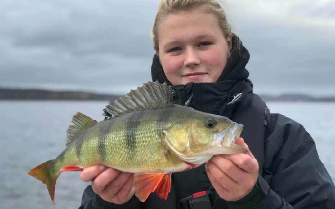 Höstfiskeveckan för Fiske 1