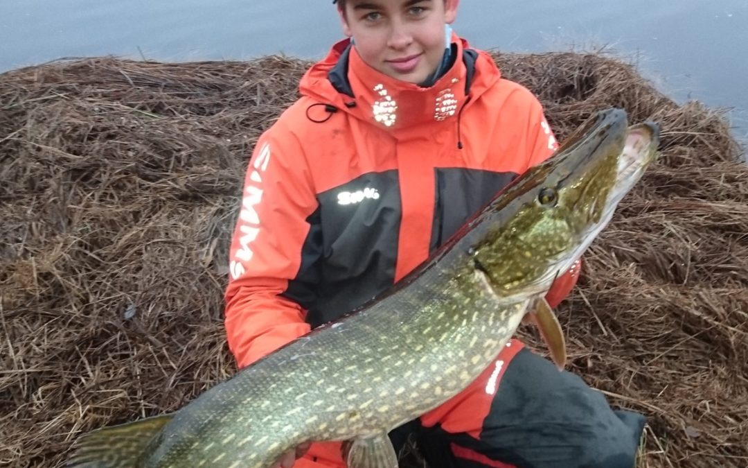Isbrist ger fin fisk!