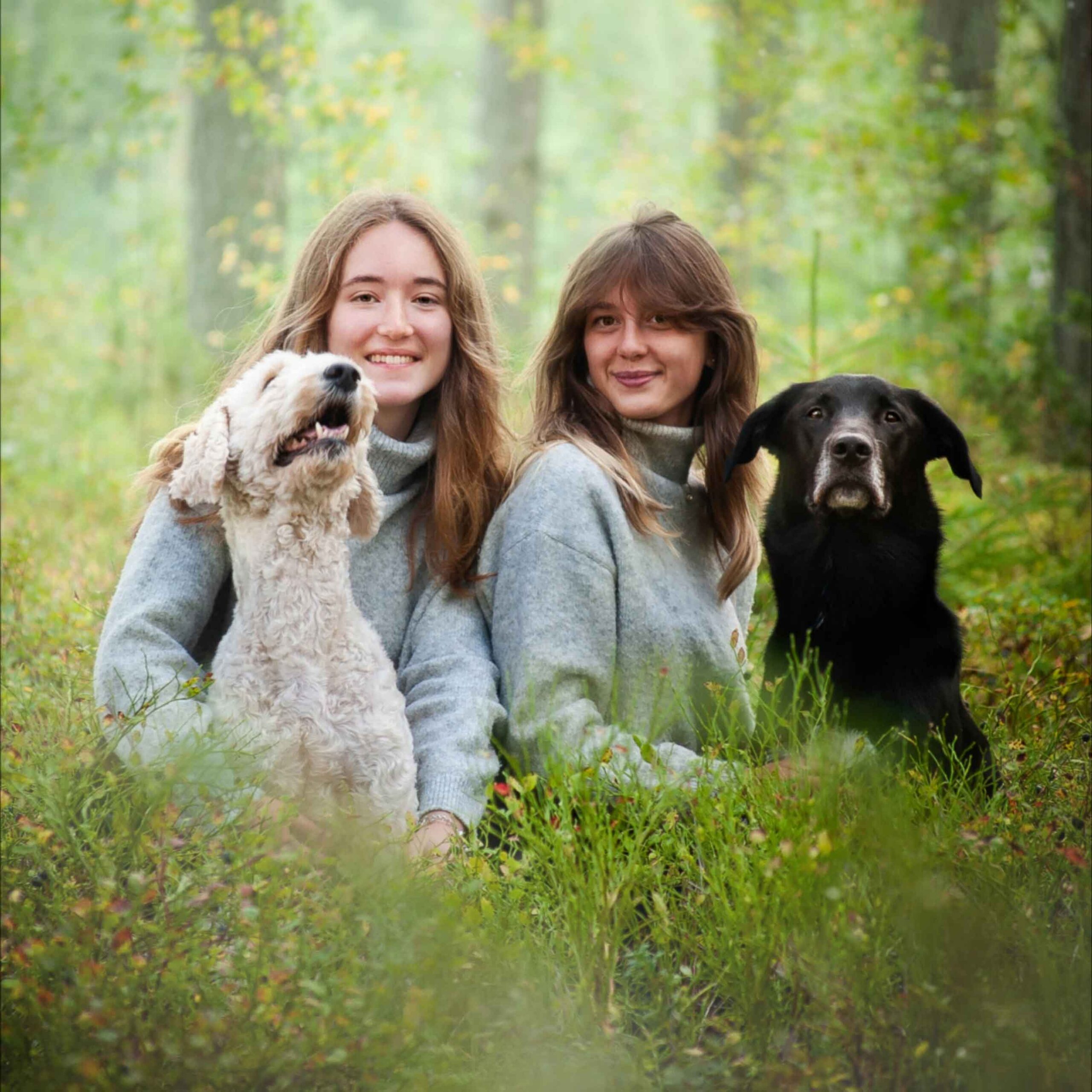 Två unga kvinnor i grå stickade tröjor sitter i en höstskog med en vit lockig hund och en svart labrador